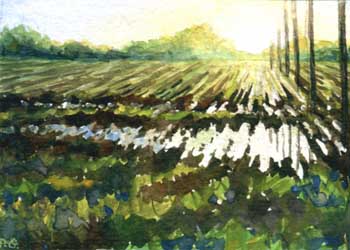 "After The Rain" by Patricia Gergetz, West Bend WI - Watercolor - SOLD
